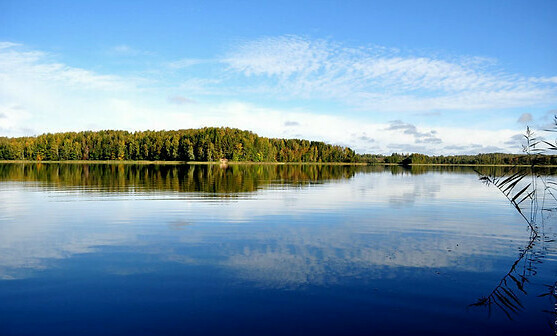 <span style="font-style: italic;">Участки у Мостовского водохранилища, дер. Дубровка </span>от 25 000 руб./га