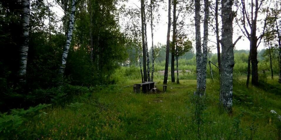 р. Тудовка р. Тудовка