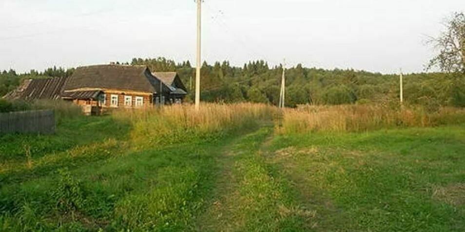 д. Медово, Сандовский р-н д. Медово, Сандовский р-н