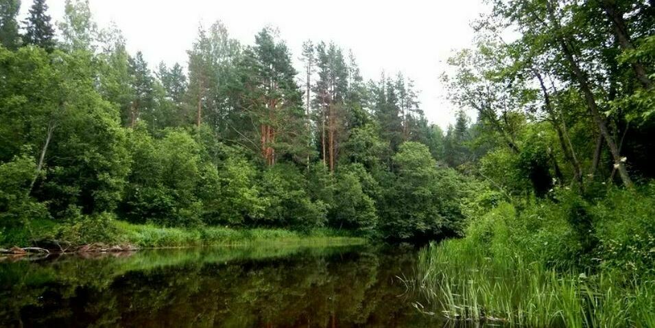 р. Тудовка, Тверская обл. р. Тудовка, Тверская обл.