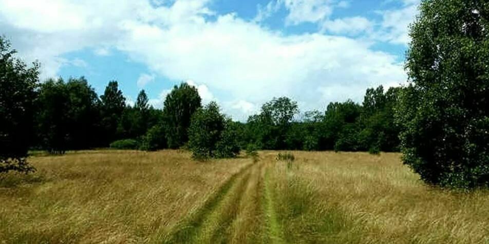 с/п Холмец с/п Холмец