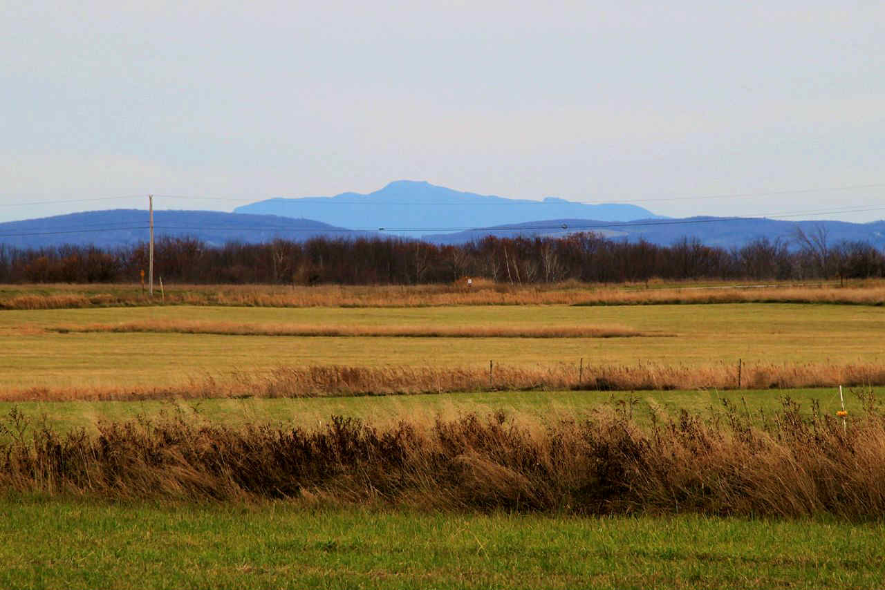 Земля для фермы рядом с Холмец Тверская область купить участок сельхозземля рядом с деревней Холмец Тверская область